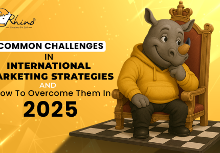 business - international marketing - cross country - challenges - 2025