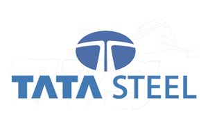 Home 10 tata steel logo